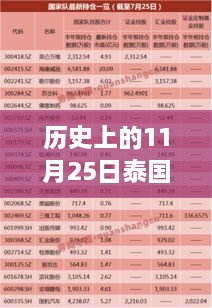 泰国历史探秘，揭秘11月25日新闻宝藏与美食奇缘的巷子深处