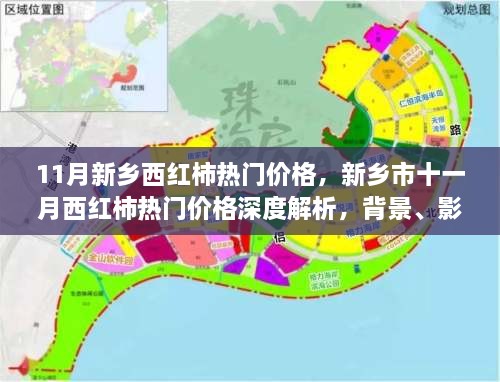 新乡市十一月西红柿热门价格深度解析，背景、影响及市场地位揭秘