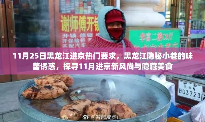 黑龙江进京热门要求与隐藏美食探秘，隐秘小巷的诱惑与11月进京新风尚