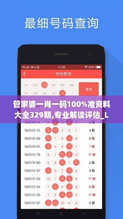 管家婆一肖一码100%准资料大全329期,专业解读评估_L版IQB11.64