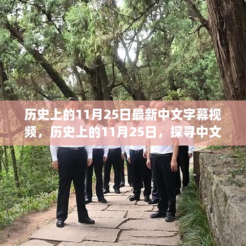 历史上的11月25日，探寻中文字幕视频的新篇章揭秘！