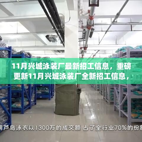 11月兴城泳装厂全新招工信息重磅更新，你的就业机会在此！