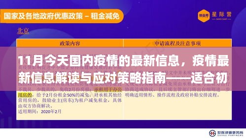 11月疫情防护手册，最新信息解读、应对策略与初学者进阶指南