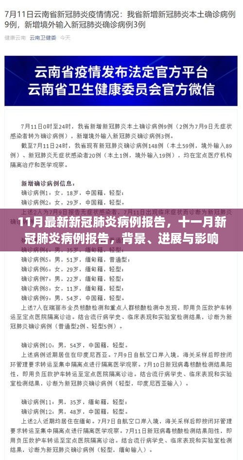 最新报告揭示，新冠肺炎病例背景、进展与影响——十一月报告分析