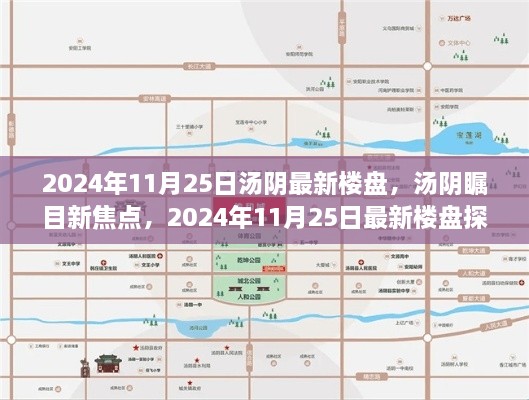 汤阴最新楼盘探秘，聚焦2024年11月25日瞩目焦点