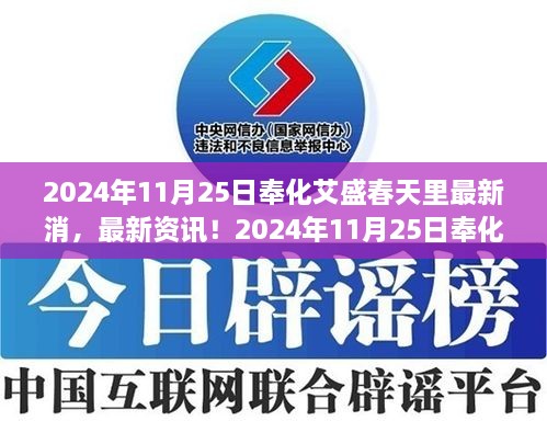 2024年奉化艾盛春天里最新资讯与活动指南——初学者与进阶用户必读