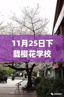 探秘隐藏版樱花学校热门版，小巷深处的非凡之旅