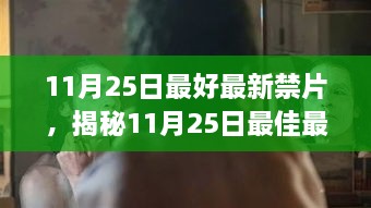 揭秘11月25日最新禁片，深度探讨内容与影响