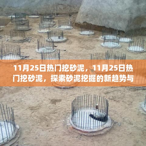 探索砂泥挖掘新趋势与案例，揭秘热门砂泥挖掘活动在11月25日的热潮