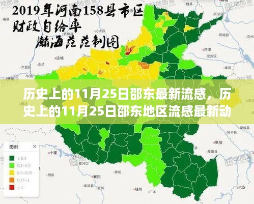 历史上的11月25日邵东流感动态概览，最新流感趋势与变化