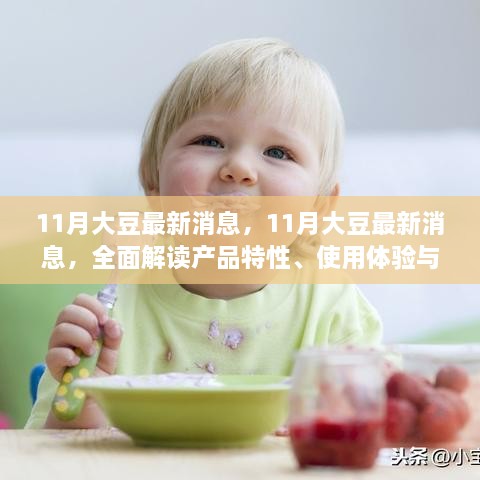 11月大豆最新动态，全面解读产品特性、用户体验与目标用户群体深度分析