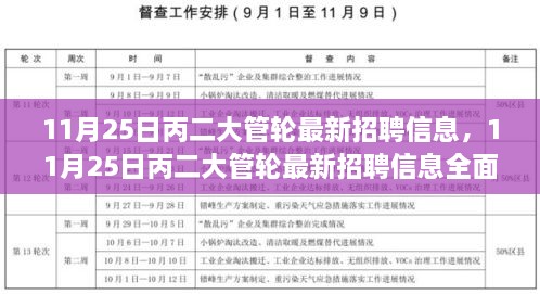 11月25日丙二大管轮最新招聘信息全面解析与评测