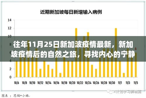 新加坡疫情后的自然之旅，寻找内心的宁静与平和（往年11月25日最新疫情更新）