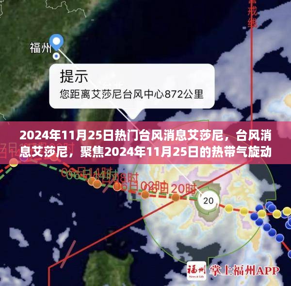 2024年11月25日热门台风艾莎尼动态，热带气旋动态聚焦