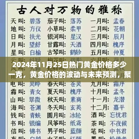 聚焦黄金市场，黄金价格的波动分析与未来预测（针对2024年11月25日）