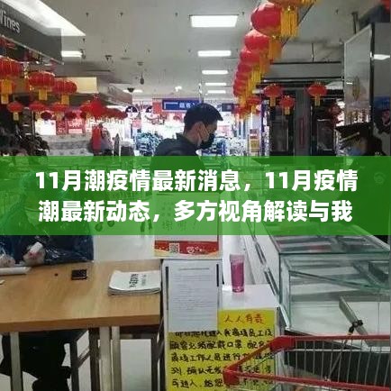 11月疫情潮最新动态，多方视角解读与我的观点分析