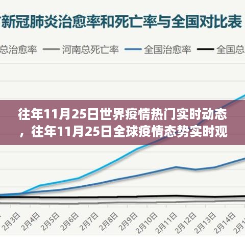 聚焦全球疫情态势，往年11月25日疫情动态观察与深度分析