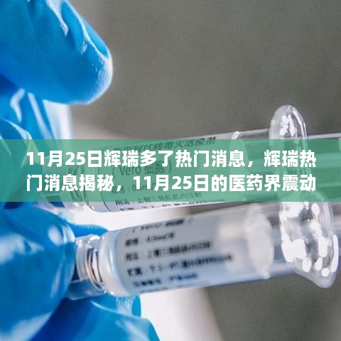 辉瑞医药界震动揭秘，热门消息背后的故事，11月25日重磅揭晓