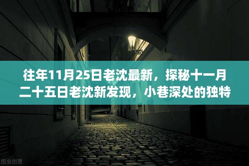 探秘十一月二十五日老沈的新发现，小巷深处的独特风味揭秘