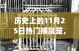 揭秘历史上的捕鼠笼演变与变迁，11月25日的热门捕鼠笼回顾