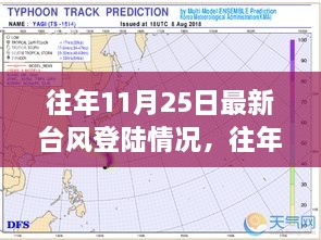 往年11月25日台风登陆深度解析，影响、观点与最新动态探讨