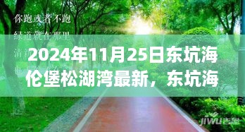 2024年11月25日东坑海伦堡松湖湾深度评测与最新介绍