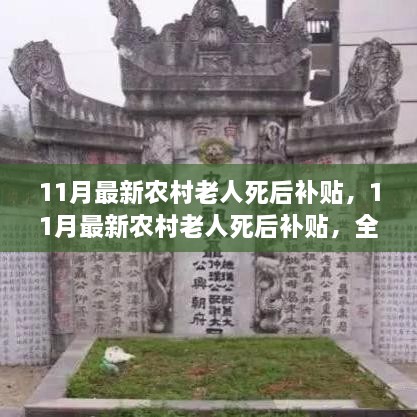 全面解读农村老人死后补贴，特性、体验与目标用户群体分析（最新11月更新）