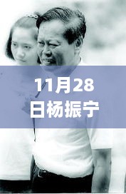 杨振宁最新新闻揭秘，科学巨匠的新里程碑成就揭晓（11月28日）