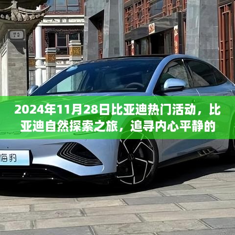 比亚迪自然探索之旅，追寻内心平静的魔法日期（2024年11月28日热门活动回顾）