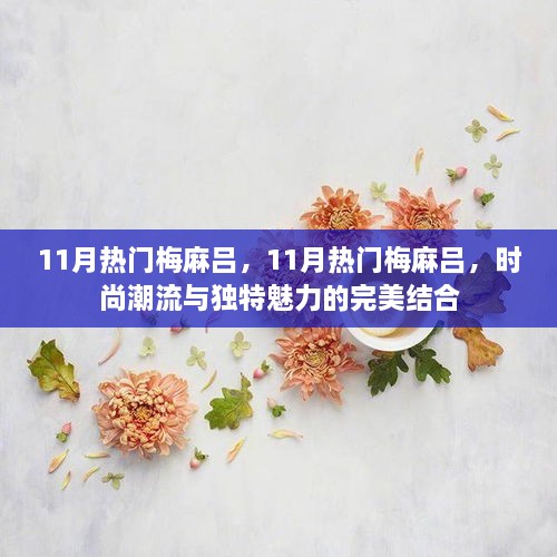 11月热门梅麻吕，时尚潮流与独特魅力的完美交融