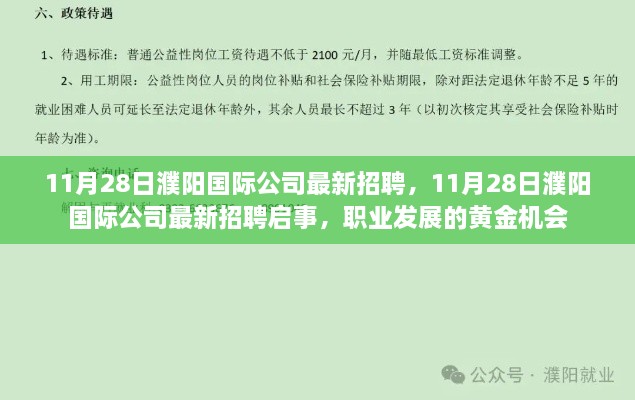 11月28日濮阳国际公司最新招聘启事，职业发展的黄金机会来临