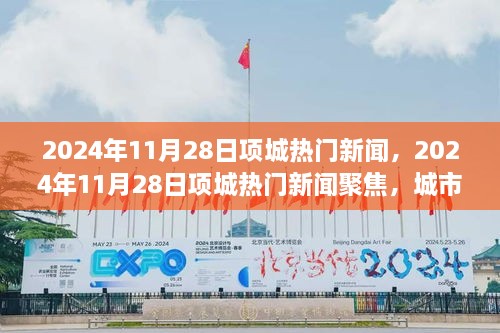 2024年11月28日项城热门新闻聚焦，城市新动向与社会热点解析