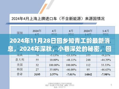 回乡知青工龄更新消息，深秋小巷深处的独特风味之旅