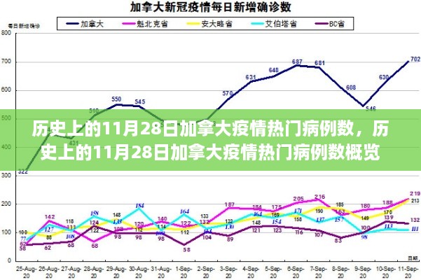 历史上的11月28日加拿大疫情病例数概览与热门病例概览