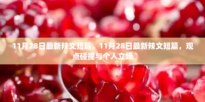 11月28日最新辣文短篇，观点碰撞与个人立场