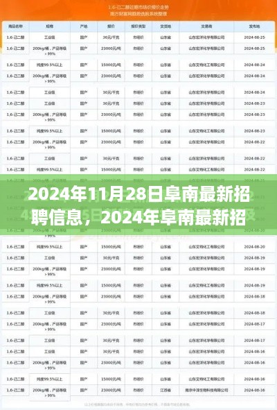 2024年阜南最新招聘信息全面评测与介绍