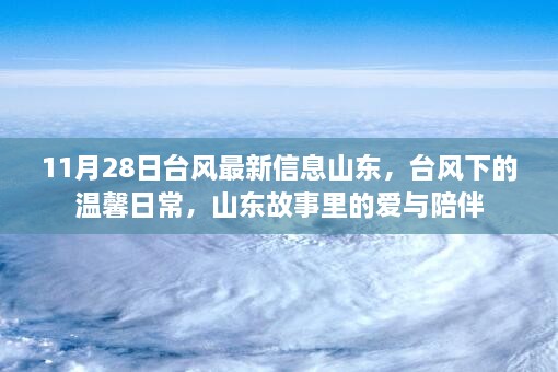 山东台风下的温馨日常，爱与陪伴的故事在风雨中续写