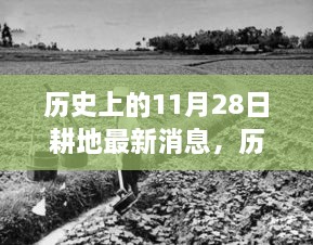 历史上的11月28日耕地动态更新与产品评测报告