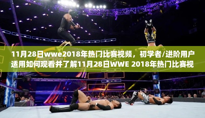 观看并了解WWE 2018年热门比赛视频指南，针对初学者与进阶用户的详细步骤及11月28日精彩回顾