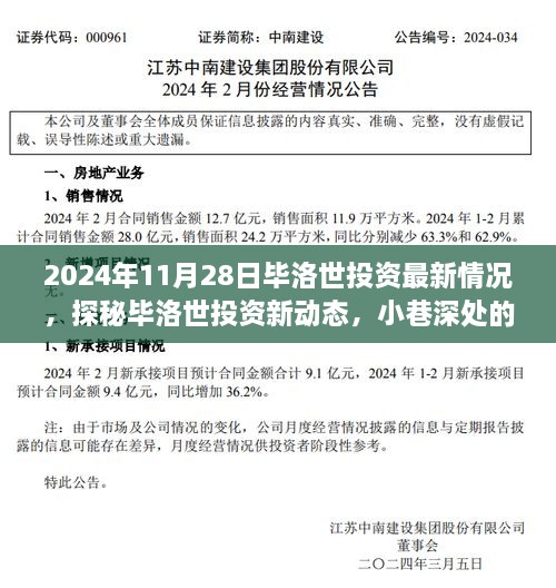 探秘毕洛世投资新动态，2024年11月28日最新揭秘与隐藏宝藏