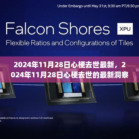 心梗去世最新洞察，预防、征兆与应对策略（日期更新至2024年）