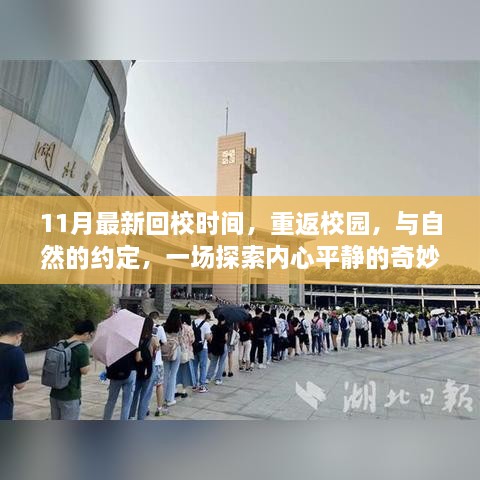 11月最新回校时间，重返校园，探索内心平静的奇妙自然之旅