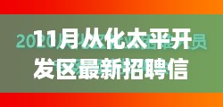 11月从化太平开发区最新招聘信息及其职场机遇与挑战概览