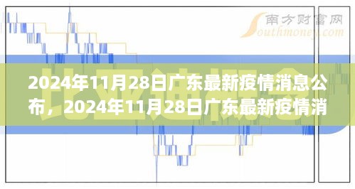 2024年11月28日广东疫情最新动态及防护措施详解