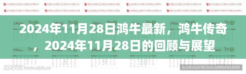 鸿牛传奇，回顾与展望，2024年11月28日的最新动态