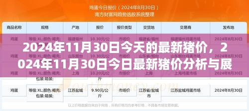 2024年11月30日最新猪价分析与展望，今日猪价及未来趋势