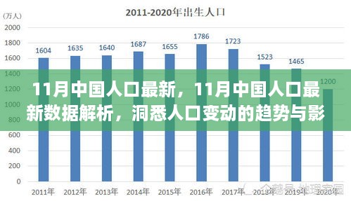 洞悉人口变动趋势，11月中国人口最新数据解析与影响