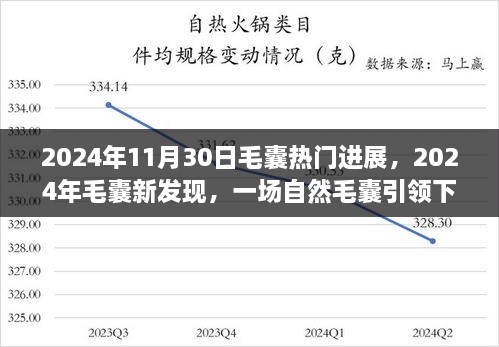 毛囊新突破揭秘，自然毛囊引领的心灵之旅开启于2024年11月30日