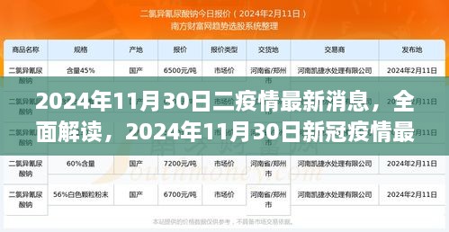 2024年11月30日疫情最新动态全面解读与评测