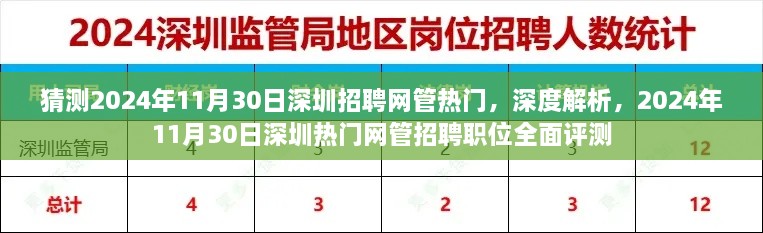 2024年11月30日深圳热门网管招聘职位深度解析与全面评测